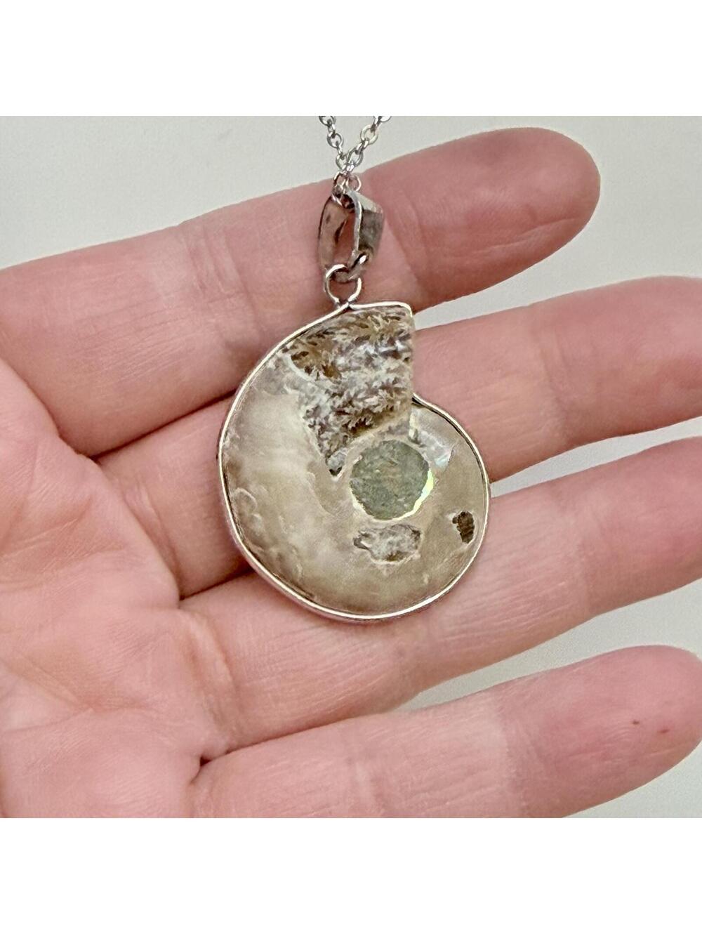 Ammonite Seashell Fossil Pendant Necklace - Picture 4 of 5